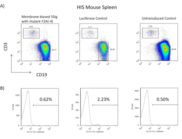 Figure 3.1 FACS analysis of the bone marrow of HIS mice reconstituted from human  CD34 +  cells transduced with Molecular Rheostat and luciferase control vectors