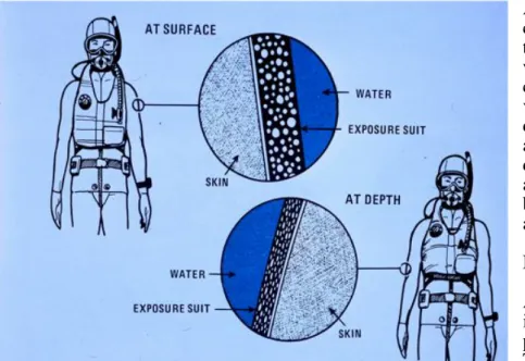 Fig. 5.7  The  deliberate  attachment  of  up  to  10  kg  of  lead  weight, or more, to an otherwise neutrally buoyant  air-breathing  creature  in  the  water  has  obvious  safety  consequences