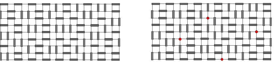 Figure 1. (a) The left figure shows one among some 4.653 × 1018 close-packed dimer coverings on a9 × 18 grid