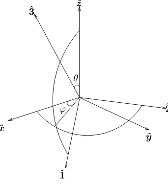 Figure 2. Axis orientation in TT.