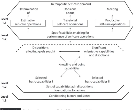 Gambar 4.3  Struktur self-care agency (Taylor &amp; Renpenning, 2011)