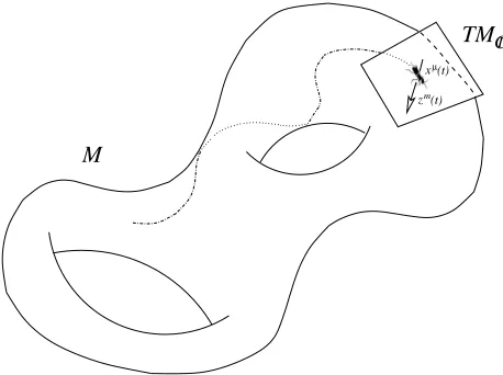 Figure 1. An ant laden with a complex tangent vector.