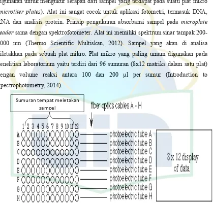 Gambar 2.3. Diagram skematik mikroplate reader 