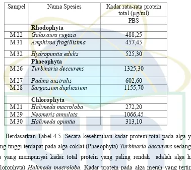 Tabel. 4.5. Total kadar protein alga dari perairan Pantai Manado 