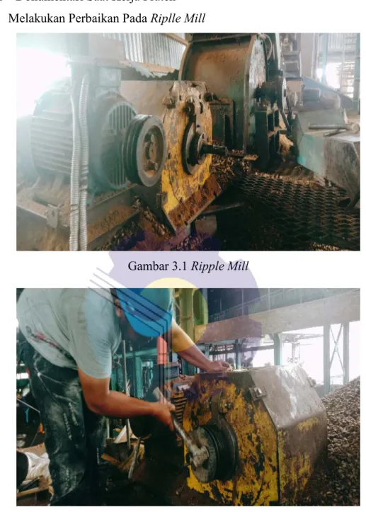 Gambar 3.1 Ripple Mill 