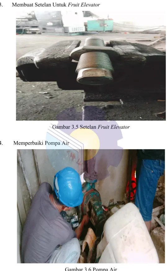 Gambar 3.5 Setelan Fruit Elevator 