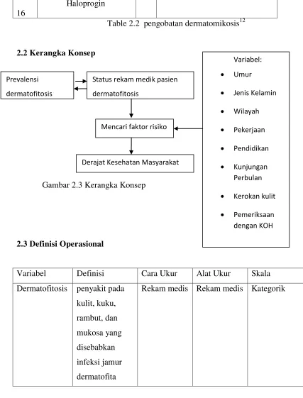 Table 2.2  pengobatan dermatomikosis12 