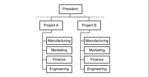 FIGURE 2.9 Project-oriented organization.