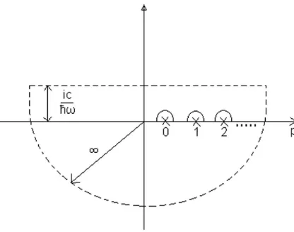 Figure 1. Integration contour for the determination of the propagator.