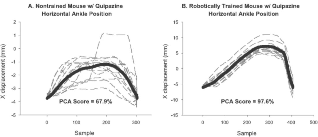 Figure 3.4: Principal component analysis. The first principal component from a PCA identifies the most  representative step pattern executed by a mouse.Amouse with a high PCA percentage for its first principal  component stepped with a more consistent step