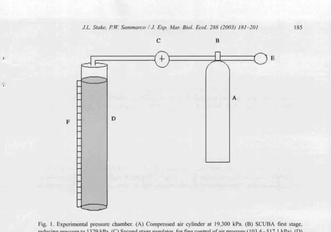 Fig.  I.  Experimental  pressure  chamber.  (A)  Compressed  air  cylinder  at  19,300  kPa