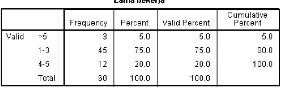 Tabel 4. 5 Identitas Lama Bekerja