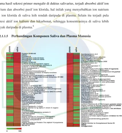 Gambar 2.4. Perbandingan Komponen Saliva dan Plasma.16