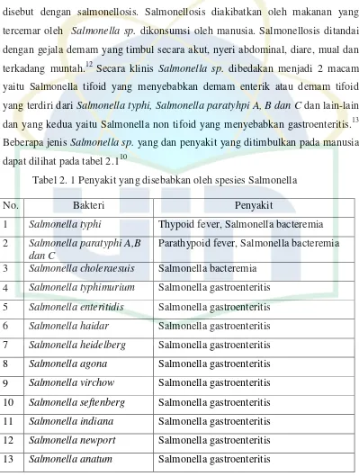 Tabel 2. 1 Penyakit yang disebabkan oleh spesies Salmonella 