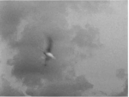 Figure 1.5 The Birds: the seagull attacks! (shot 77). 