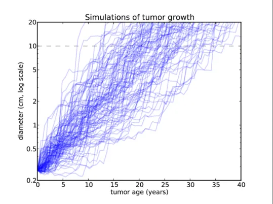 Figure 13-2 shows the size of simulated tumors as a function of age. The dashed line at 10 cm shows the range of ages for tumors at that size: the fastest-growing tumor gets there in 8 years; the slowest takes more than 35.