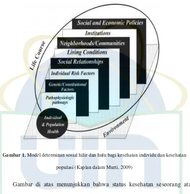 Gambar 1. Model determinan sosial hilir dan hulu bagi kesehatan individu dan kesehatan 