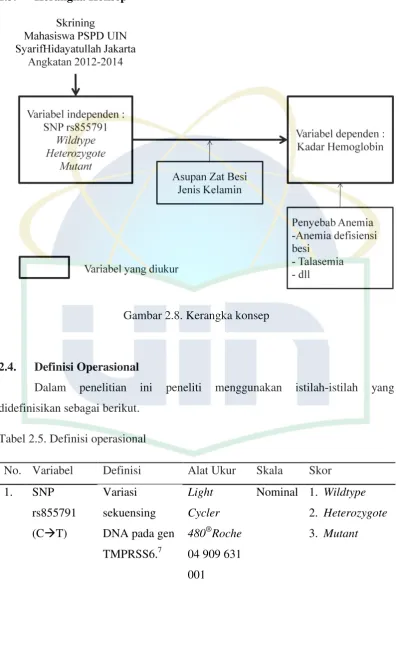 Gambar 2.8. Kerangka konsep 