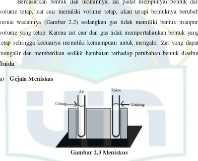 Gambar 2.3 Meniskus 