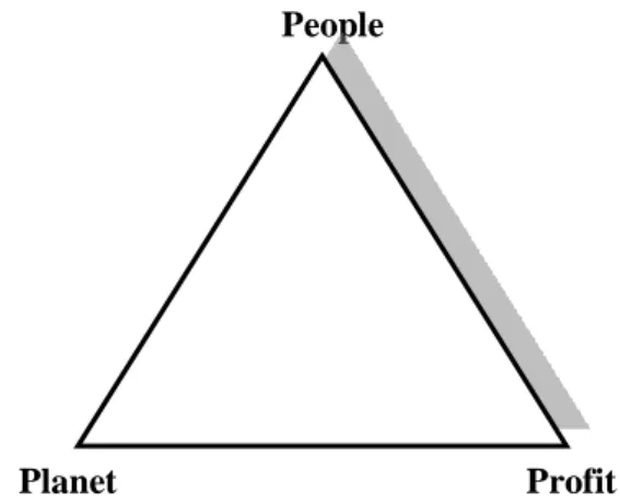 Gambar I. Hubungan Garis Segitiga (triple bottom line)