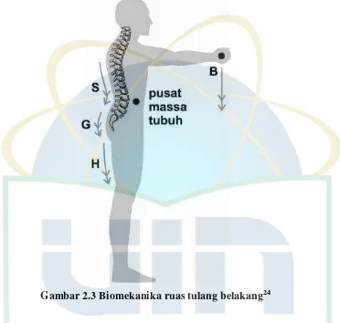 Gambar 2.3 Biomekanika ruas tulang belakang24 