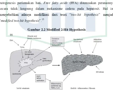 Gambar 2.2 Modified 2-Hit Hypothesis