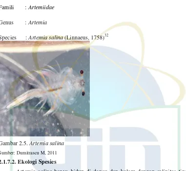 Gambar 2.5. Artemia salina 