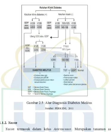 Gambar 2.5  Alur Diagnosis Diabetes Melitus 