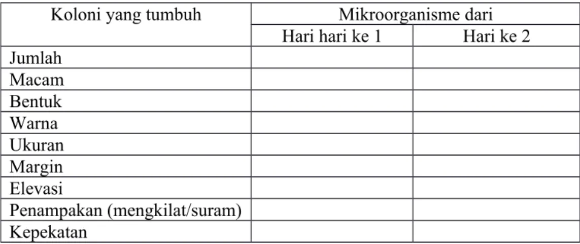 5.4.2. Tabel pengamatan bakteri