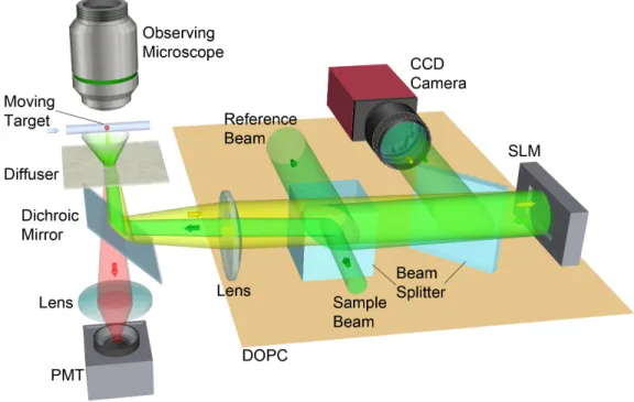 Figure 2.1: Concise setup including sample for TRACK: varying backscattered wavefronts due to a target’s movement are captured by off-axis holography