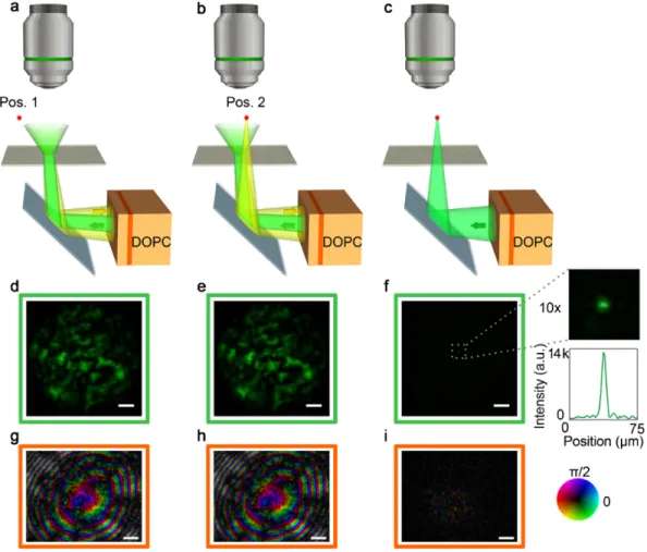 Figure 2.2: Focusing on a moving target through a scattering sample : (a) target at position 1 (far off the illuminated field of view); (b) target at position 2 (within the illuminated field of view); (c) light is focused behind the diffuser; (d)–(f) corre