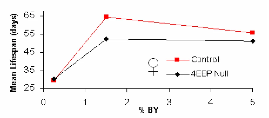 Figure 7.  4EBP null flies show normal fecundity response to variations in YE. 