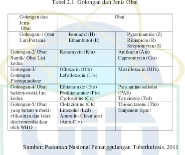 Tabel 2.1. Golongan dan Jenis Obat