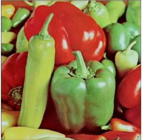 Gambar 7.1.  peppers.bmp