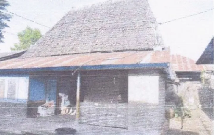 Figure  10.  House  with  bamboo  roofs,  a  zinc 