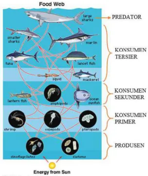 Gambar 10. Ekosistem Laut 