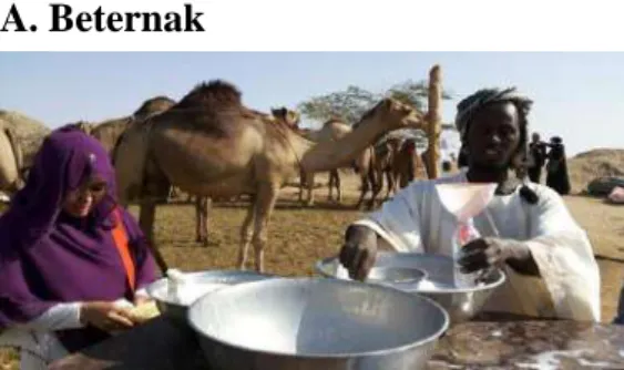 Gambar 1 https://belitung.tribunnews.com 