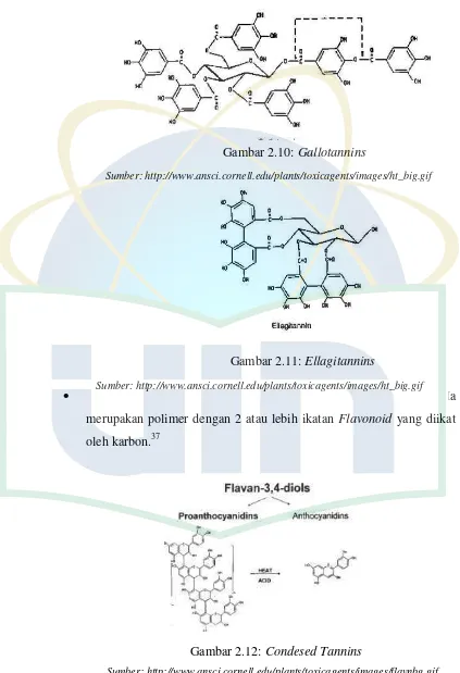 Gambar 2.10: Gallotannins 
