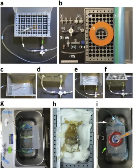 Figure  2.1.  Assembling  and  working  with  the  PARS  chamber.  (a)  A  completed  PARS  chamber  used  for  whole-body  tissue  clearing