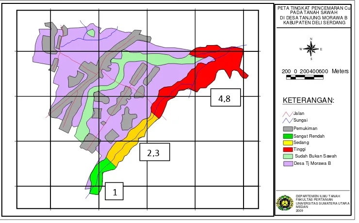 Figure 3. Map of Contamination Rate of  Cu in Rice Paddy Soil in Tanjung Morawa B Village Tanjung Morawa Subdistric, District of Deli Serdang 