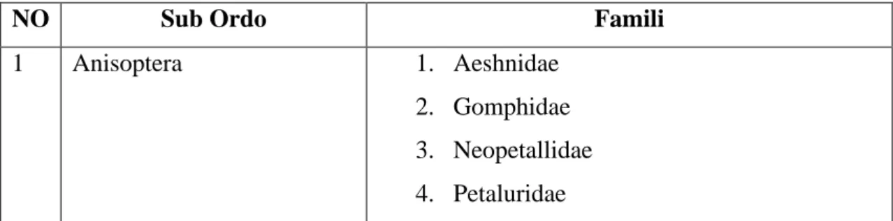 Tabel 2.1 Klasifikasi famili capung berdasarkan sub ordo. 