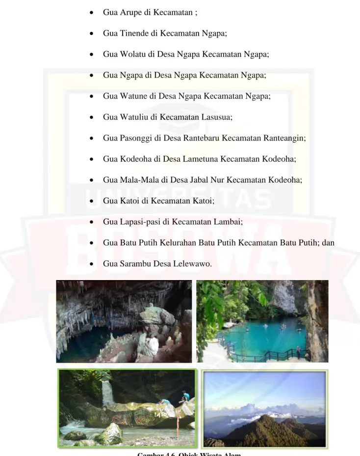 Gambar 4.6. Objek Wisata Alam
