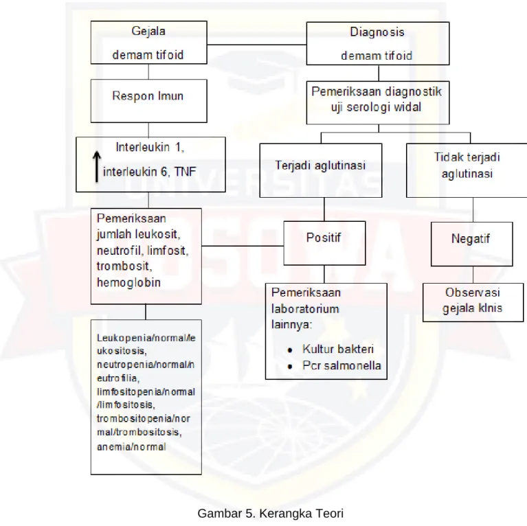 Gambar 5. Kerangka Teori 