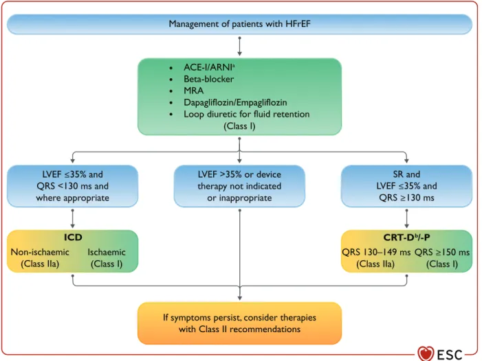 Figure 2 Therapeutic algorithm of Class I Therapy Indications for a patient with heart failure with reduced ejection fraction