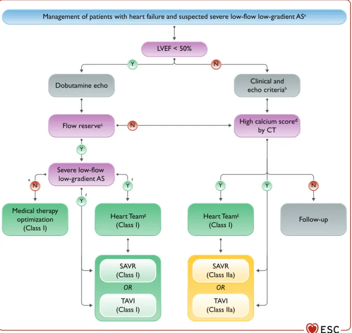 Figure 16 Management of patients with severe low-flow low-gradient aortic stenosis and heart failure