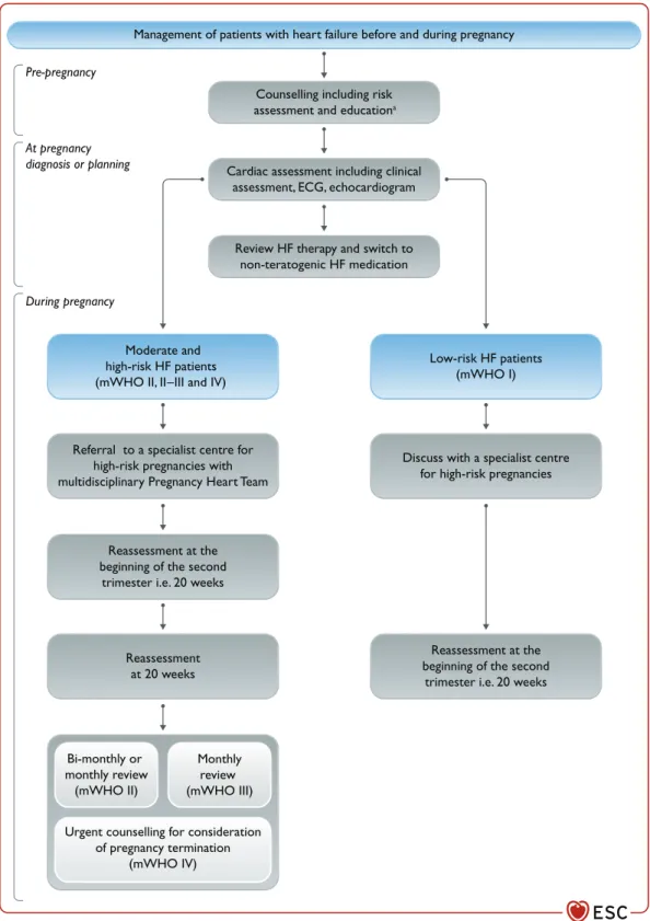 Figure 19 Management of patients with heart failure before and during pregnancy. ECG = electrocardiogram; HF = heart failure; mWHO = modified World Health Organization