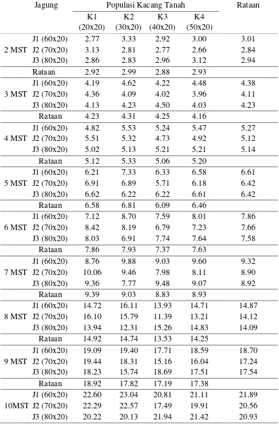 Tabel 1. Rataan tinggi tanaman kacang tanah 1-14 MST (cm) pada populasi kacang tanah dan populasi jagung yang berbeda 