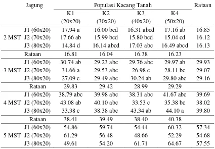 Tabel 3. Rataan tinggi tanaman jagung 2-10 MST (cm) pada populasi kacang tanah dan populasi jagung yang berbeda 