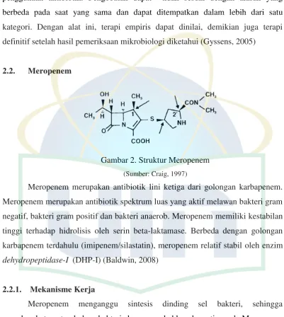 Gambar 2. Struktur Meropenem 