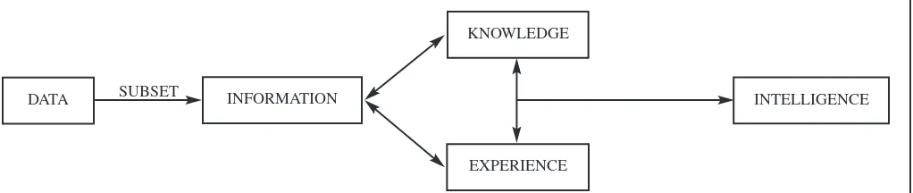 FIGURE 1. From data to intelligence.
